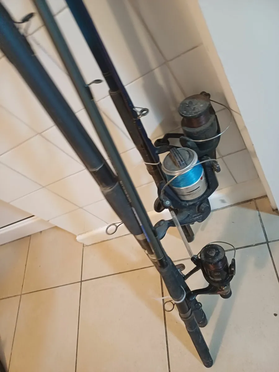 FREE FREE FREE Fishing rod & real - Image 4