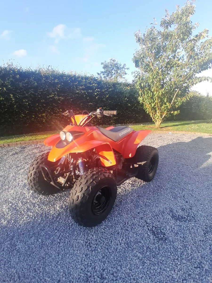 Quadzilla R100 - Image 1