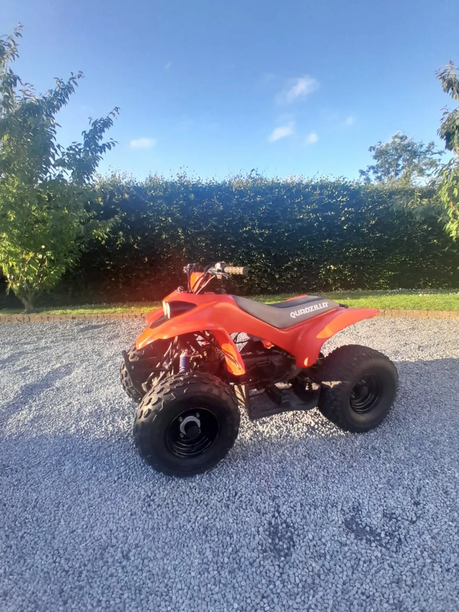 Quadzilla R100 - Image 2