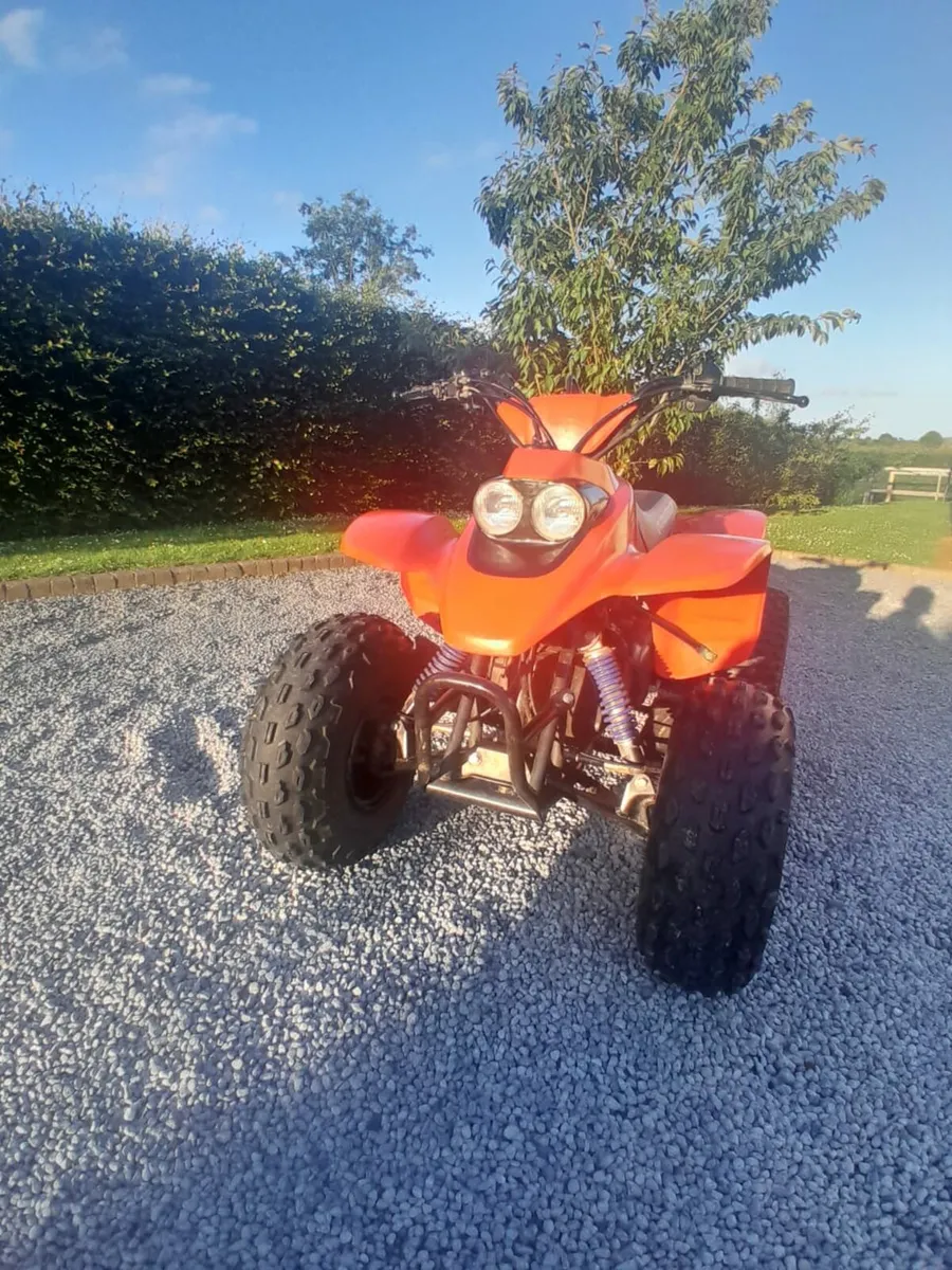 Quadzilla R100 - Image 3