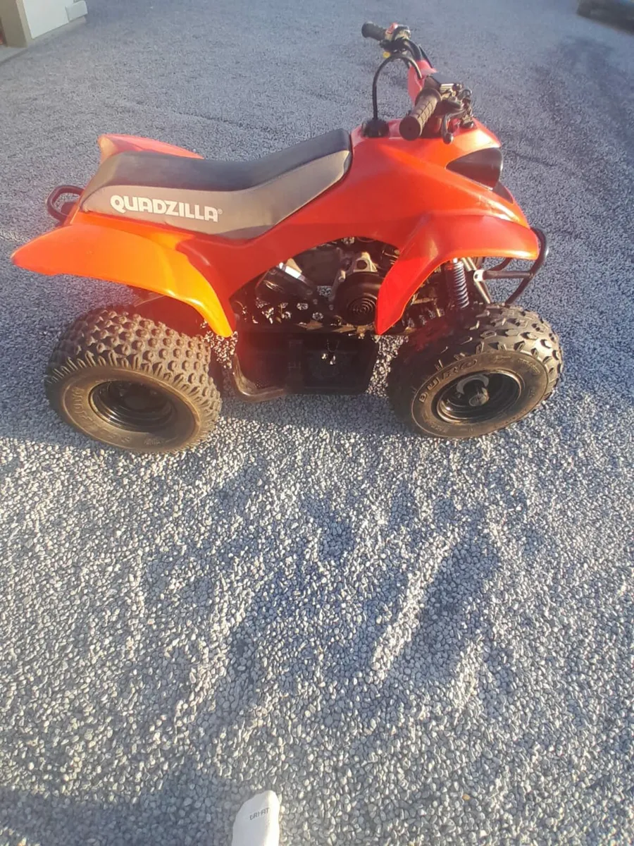 Quadzilla R100 - Image 4