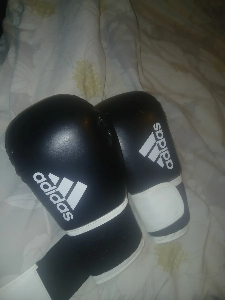 Boxing gloves and boots - Image 1