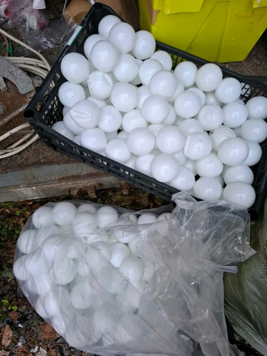 Large Pit Balls (10,000) - Image 2