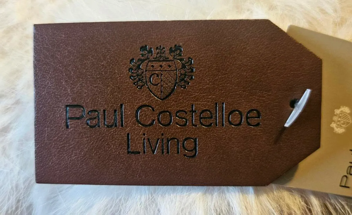 Paul Costello Bear - Image 4