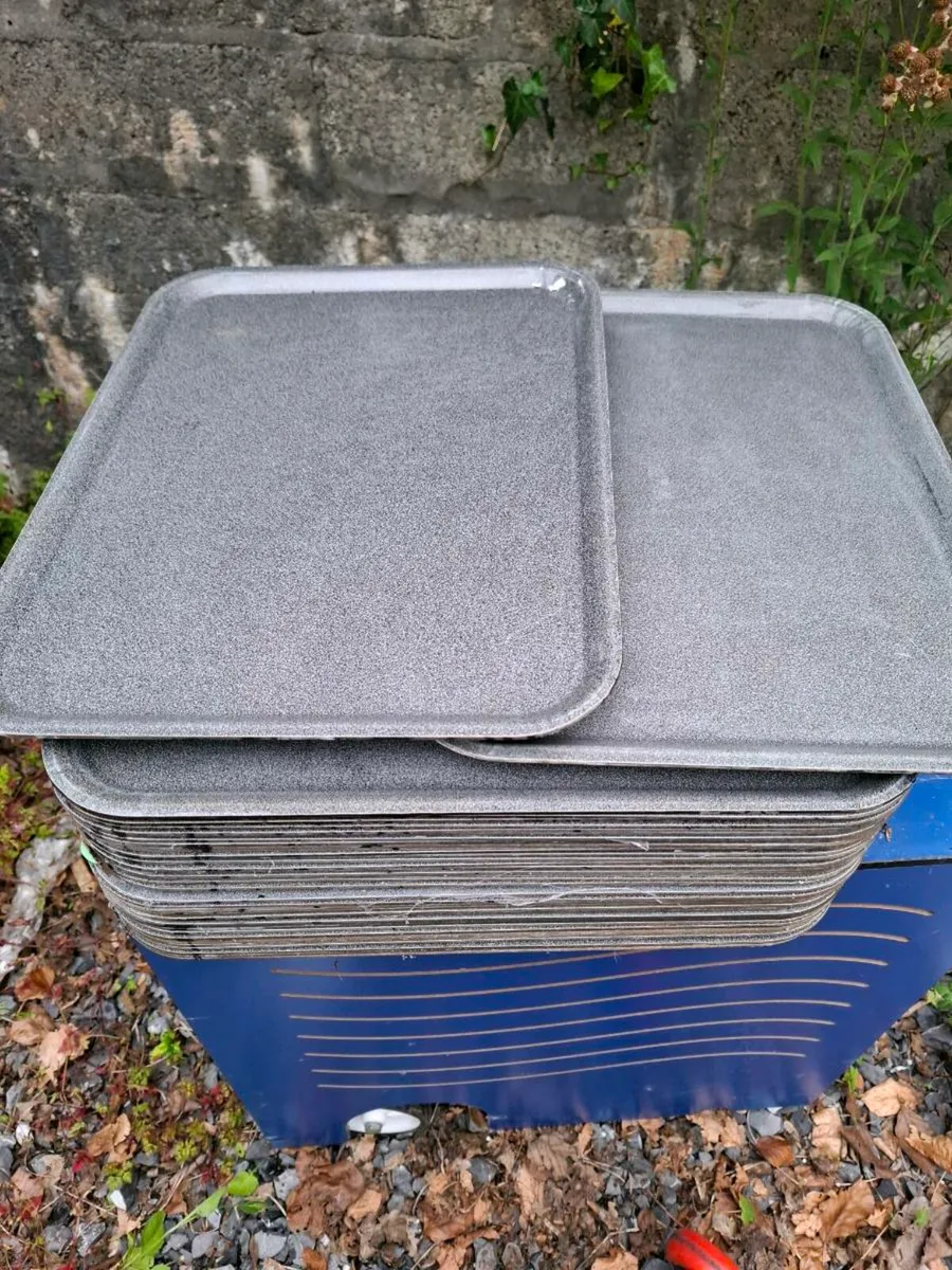 Laminate Dinner trays - Image 2