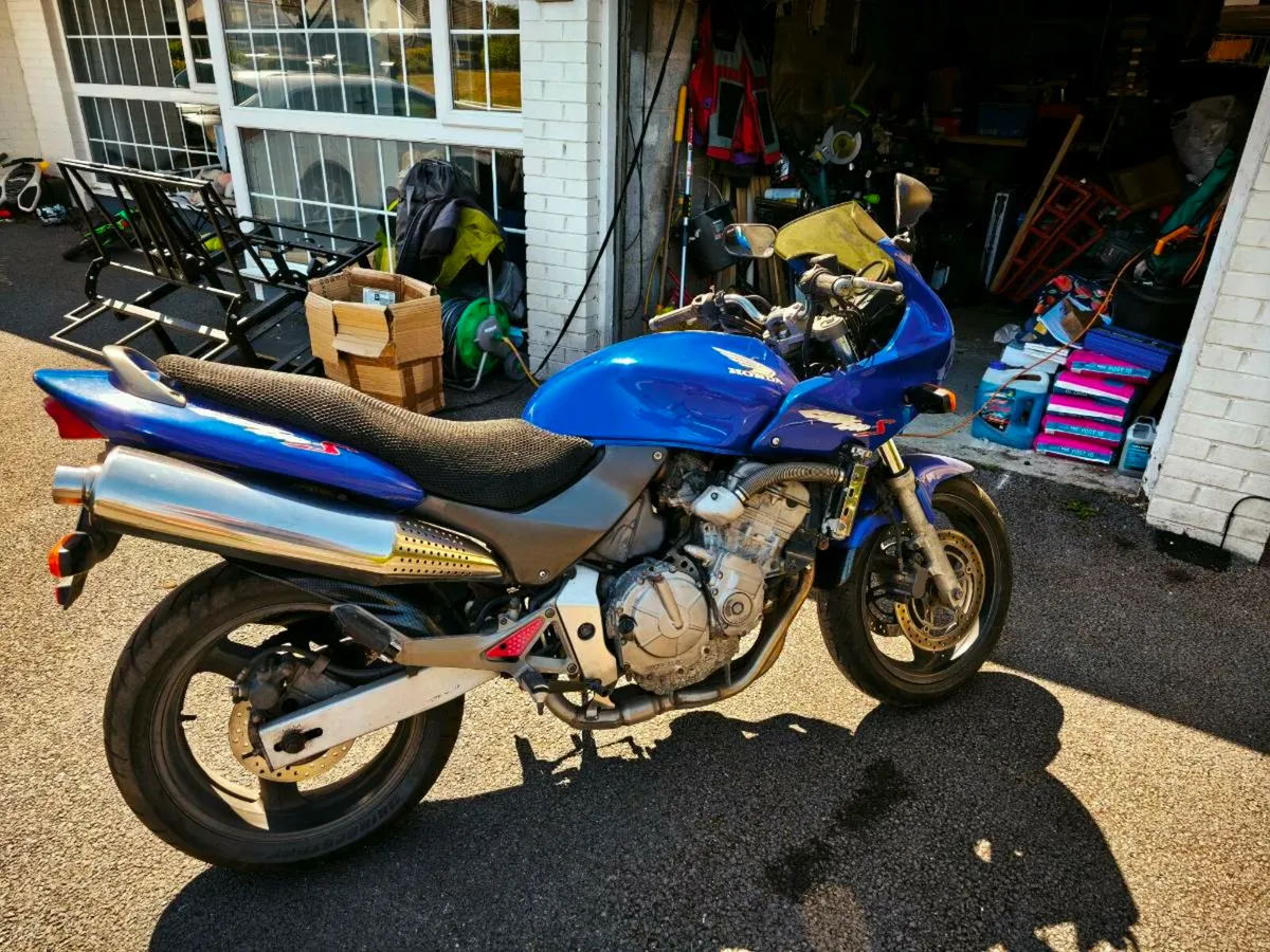 Honda Hornet - Image 3