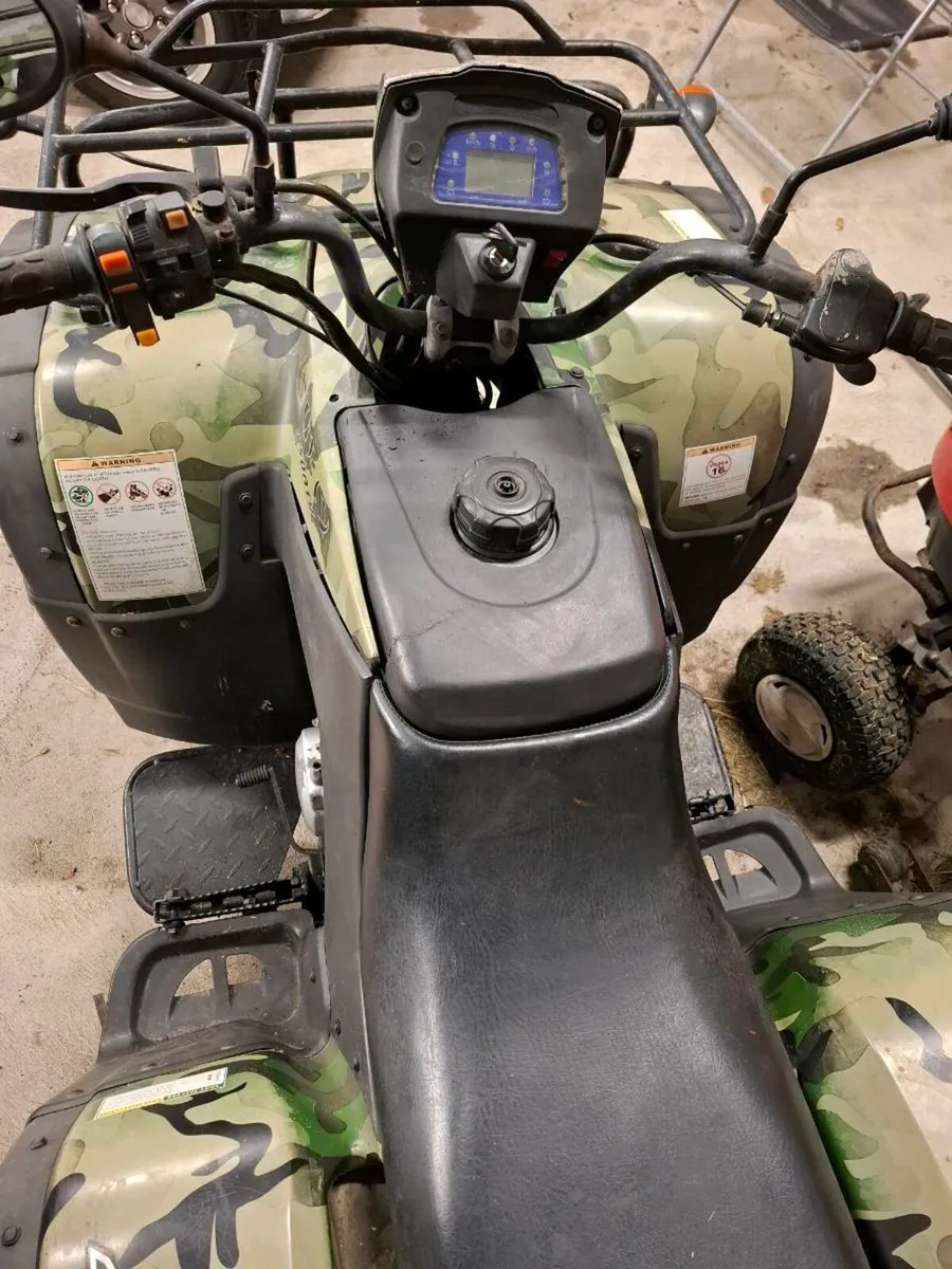 250 Quad - Image 3