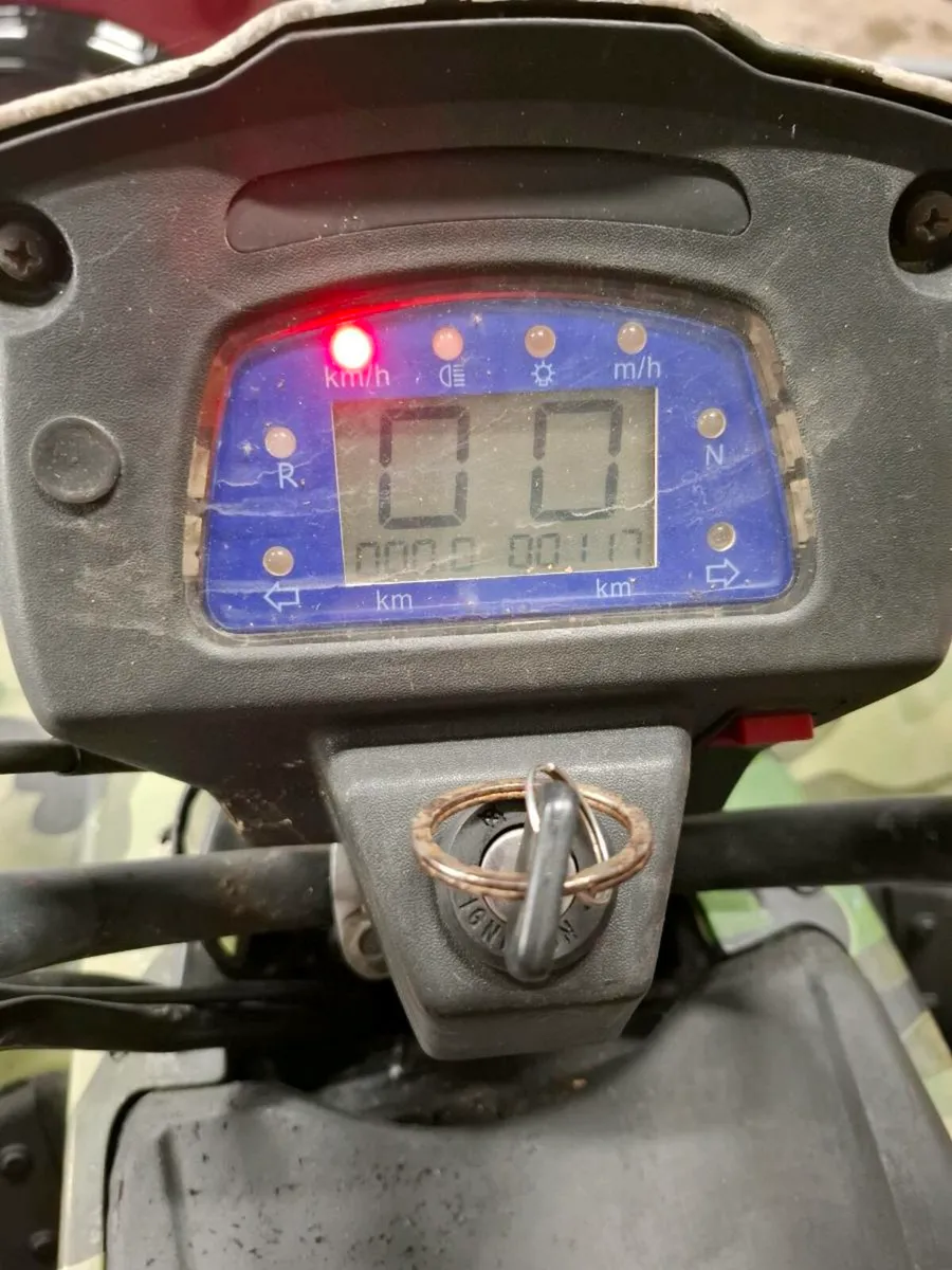 250 Quad - Image 4