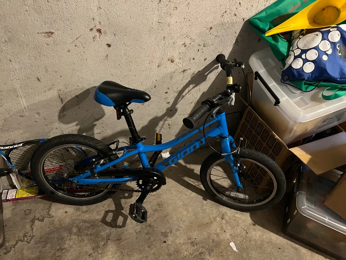 2020 Giant ARX 16 Childs Bike in Blue