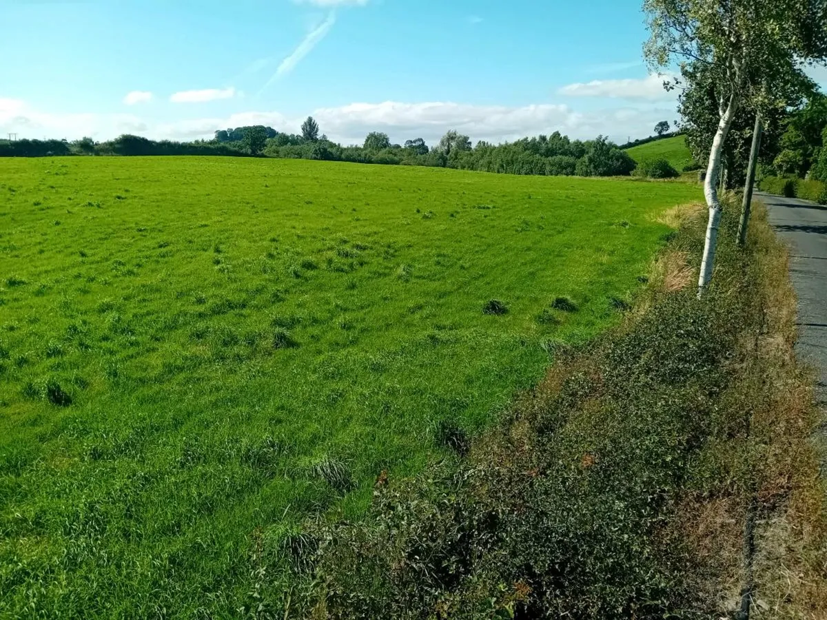 2nd cut ground - Image 1