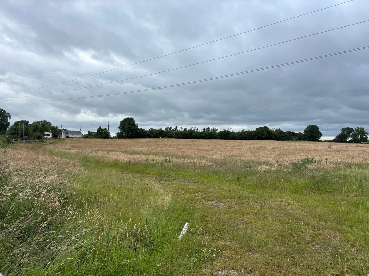 Meadows for Silage - Image 3