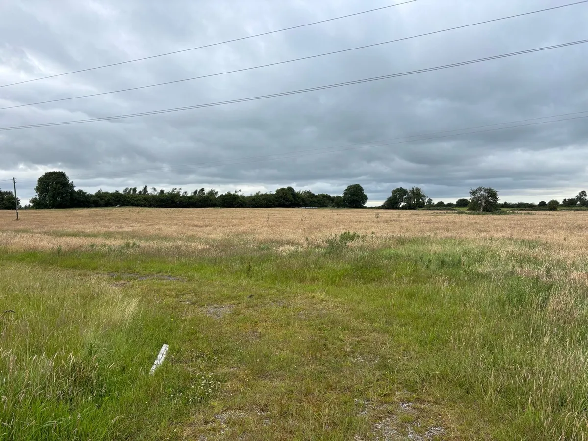 Meadows for Silage - Image 4