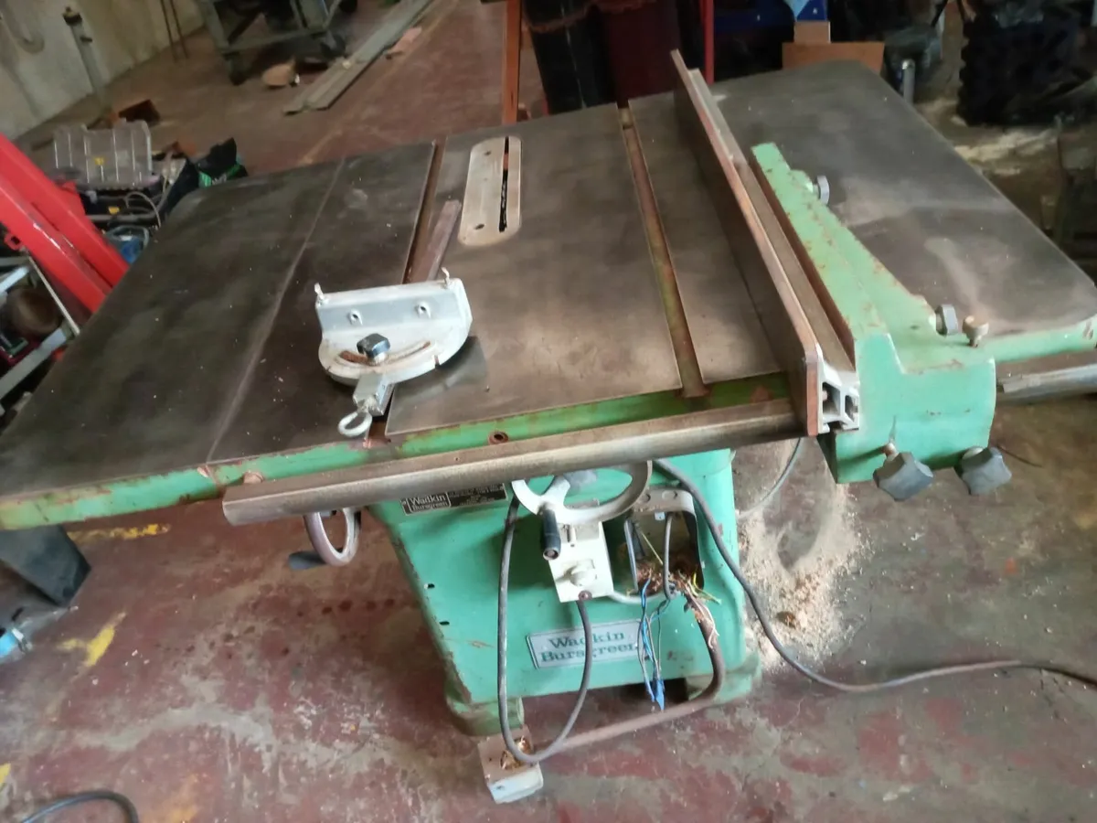 2 x Wadkin 12" AGS Table Saws - Image 1