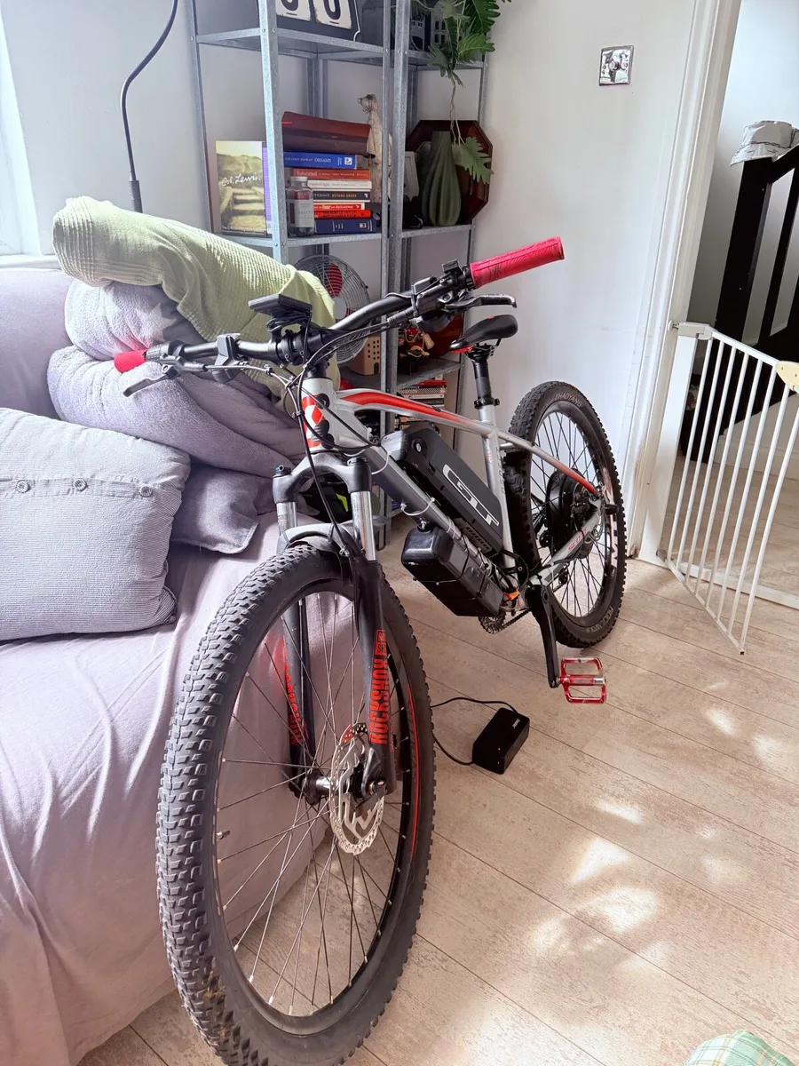 Electric Bike - Image 2