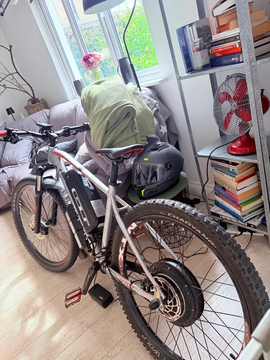 Electric Bike - Image 3