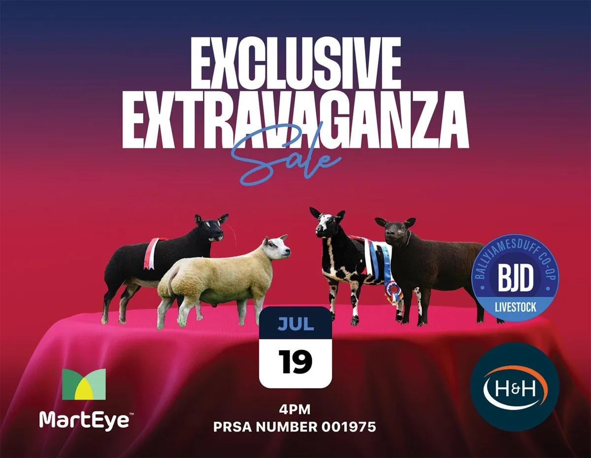 Exclusive extravaganza sale