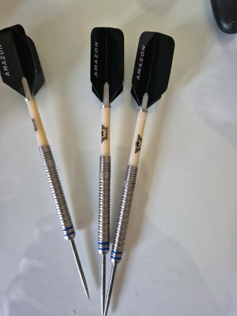 Gary Anderson darts - Image 2