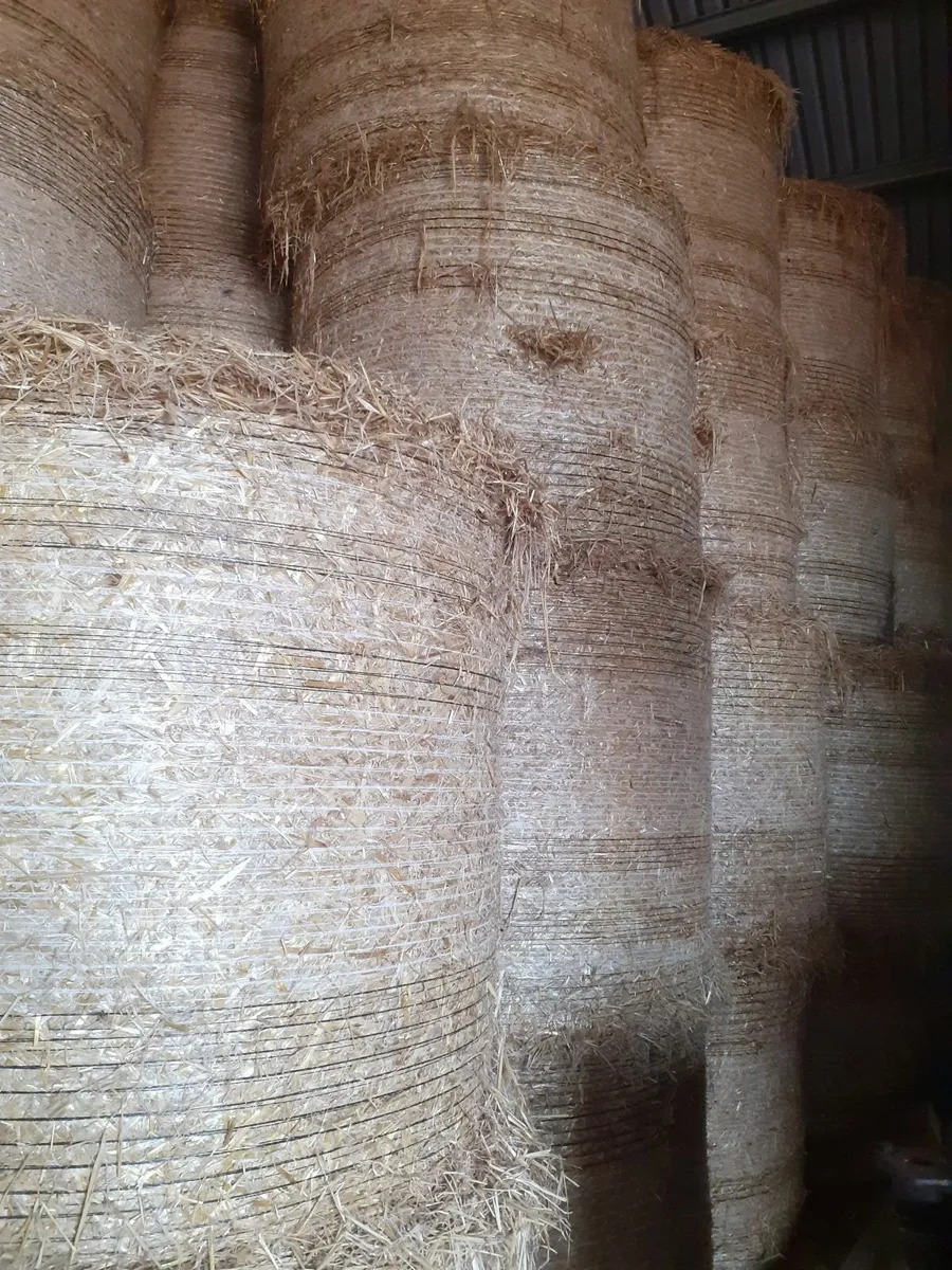 Barley straw