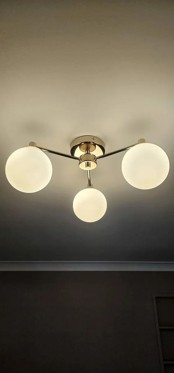 Passedena Light Fitting from Next - Image 1