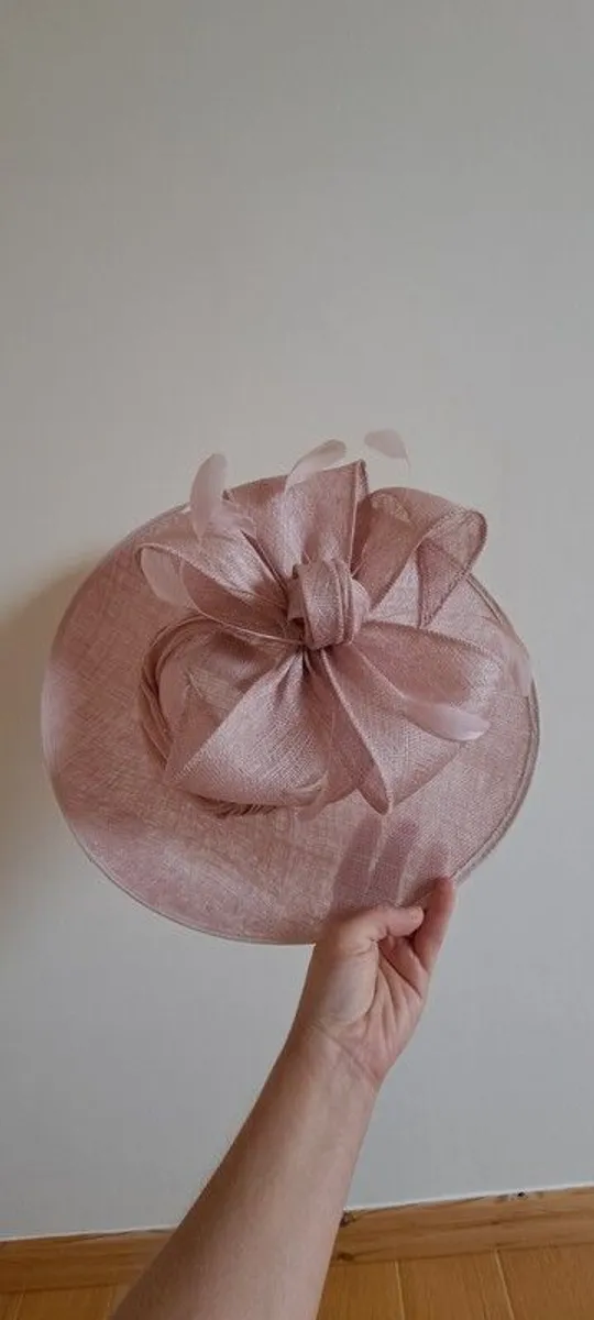 fascinators - Image 1