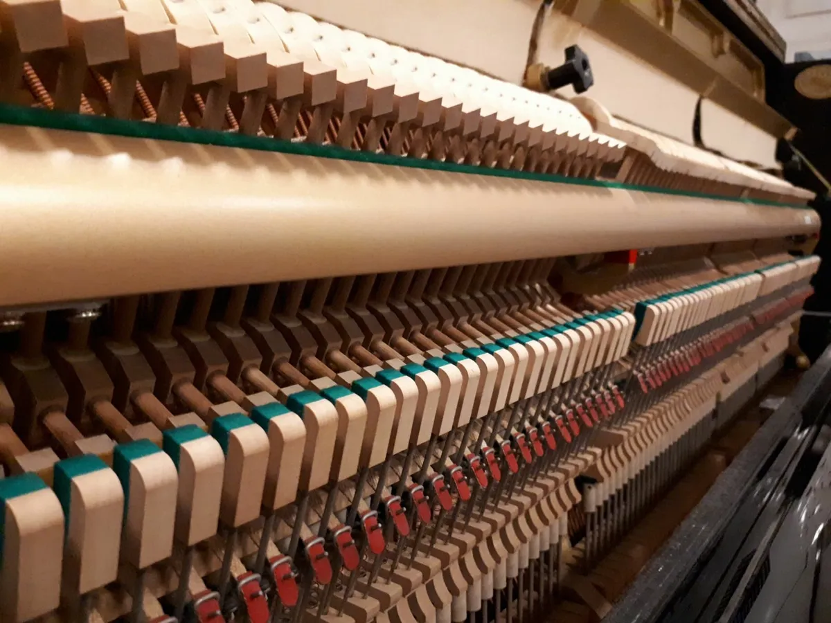 Piano Tuning & Servicing