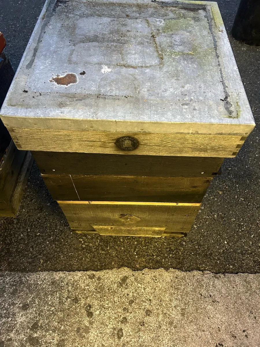 Bee hive and equipment - Image 2