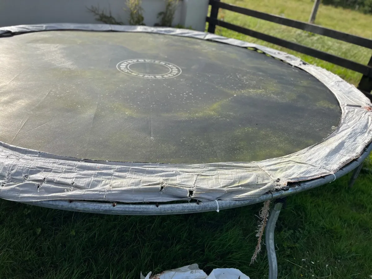Trampoline - Image 1