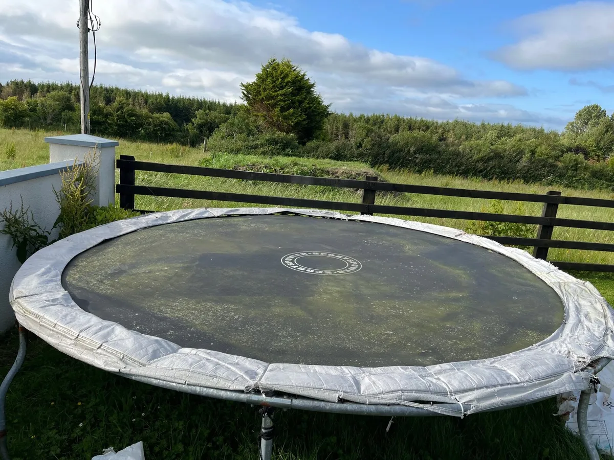 Trampoline - Image 2