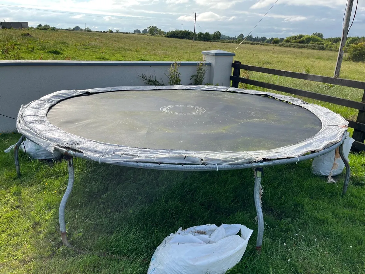 Trampoline - Image 3