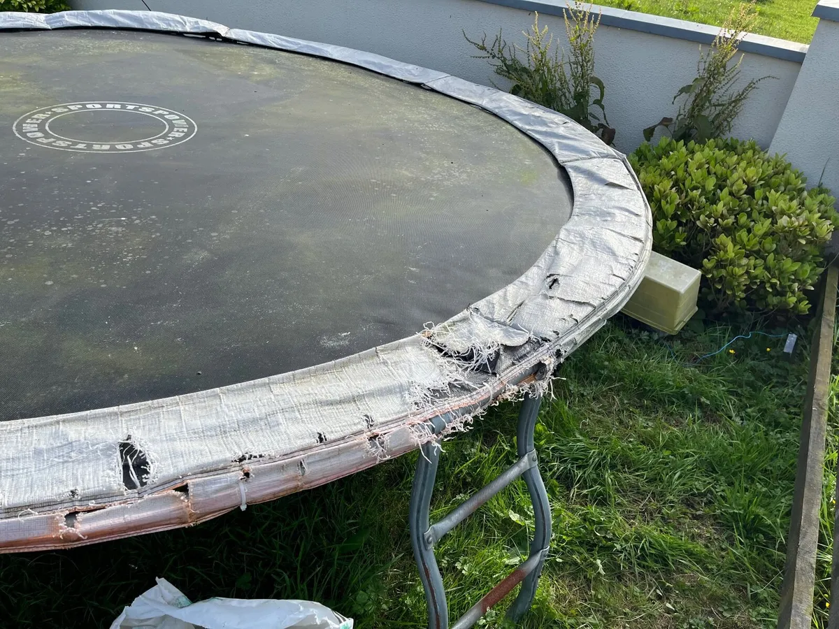Trampoline - Image 4