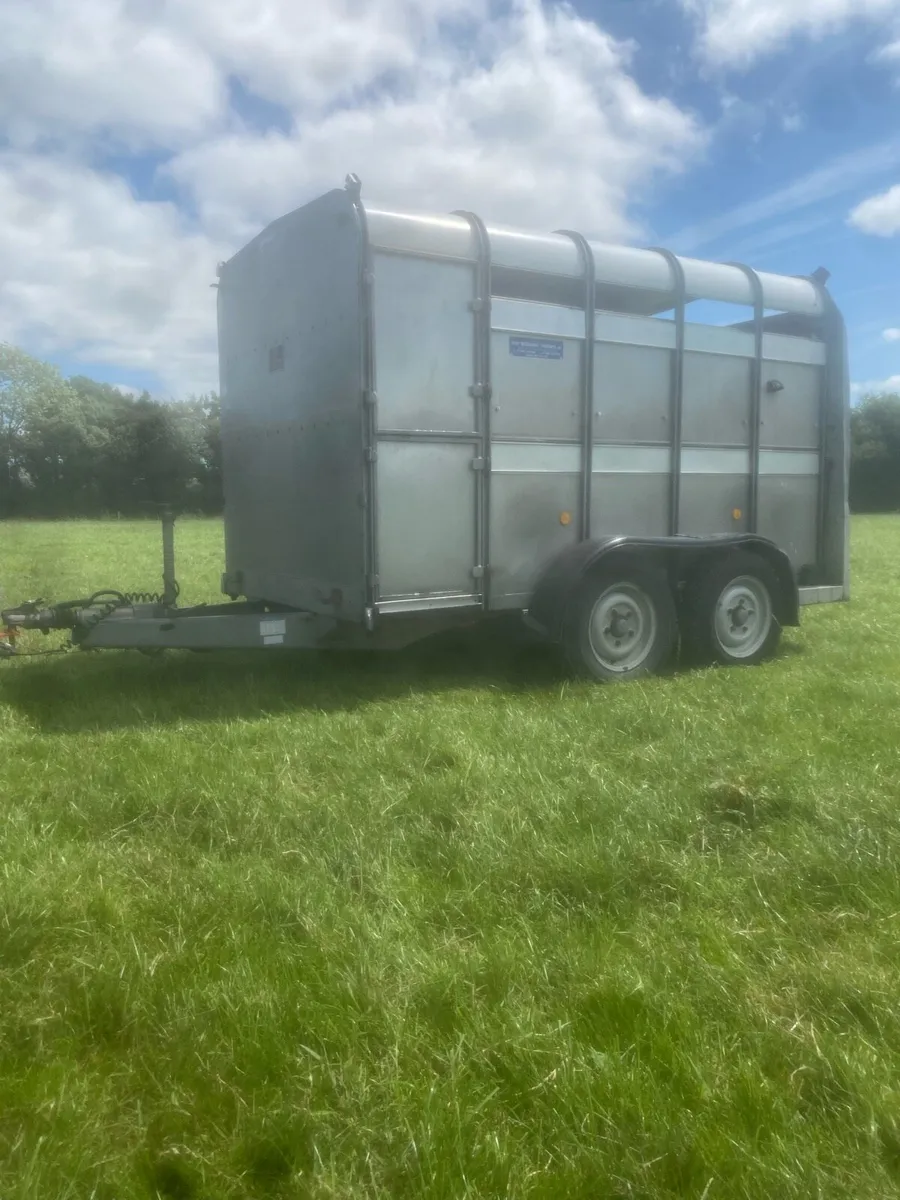 10ft cattle box - Image 1