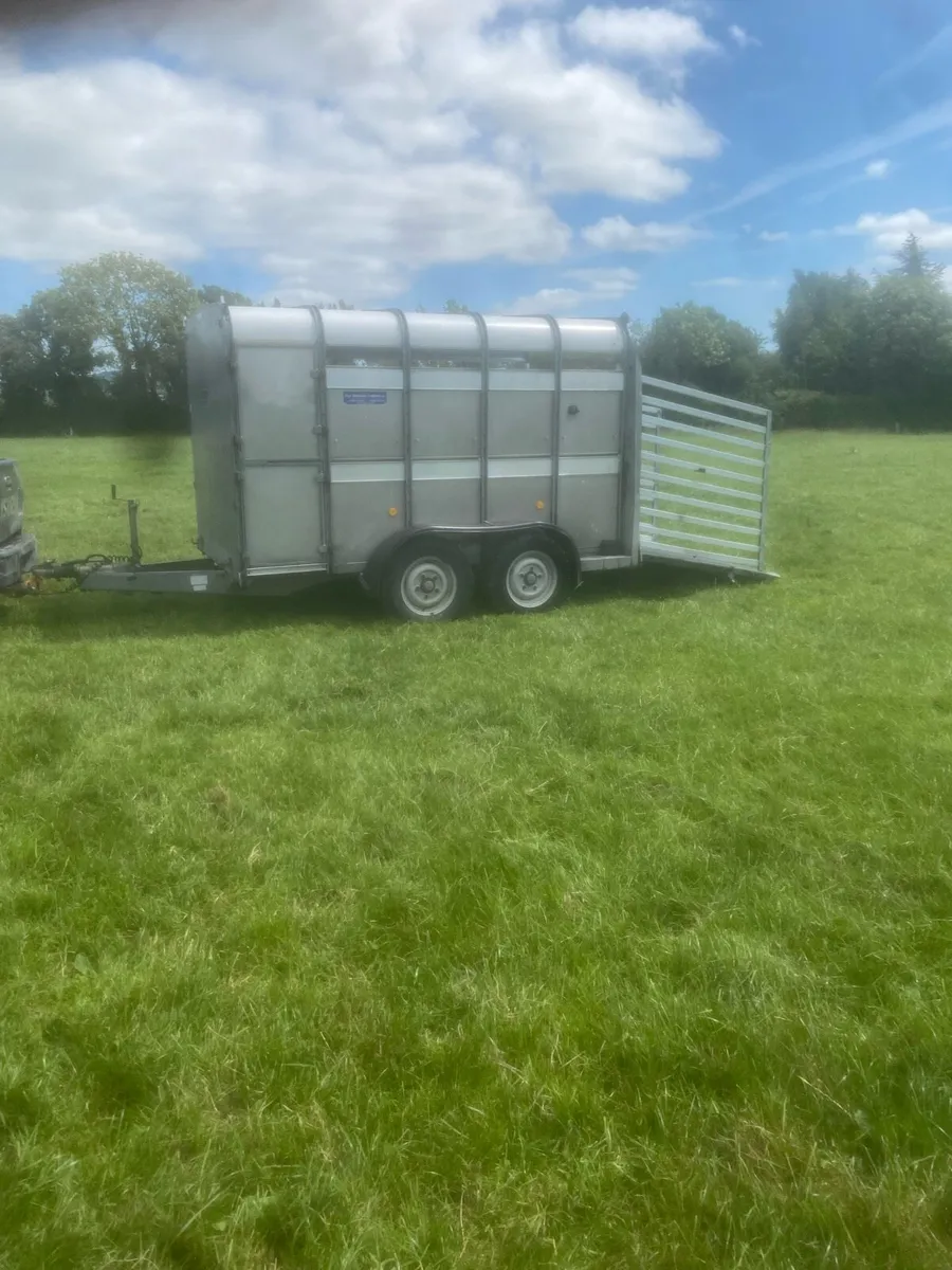 10ft cattle box - Image 2