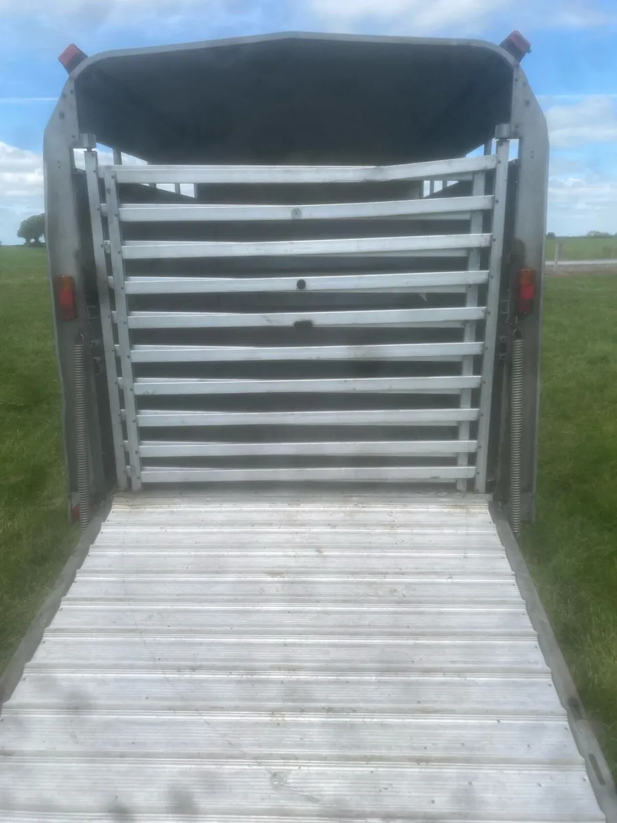 10ft cattle box - Image 3