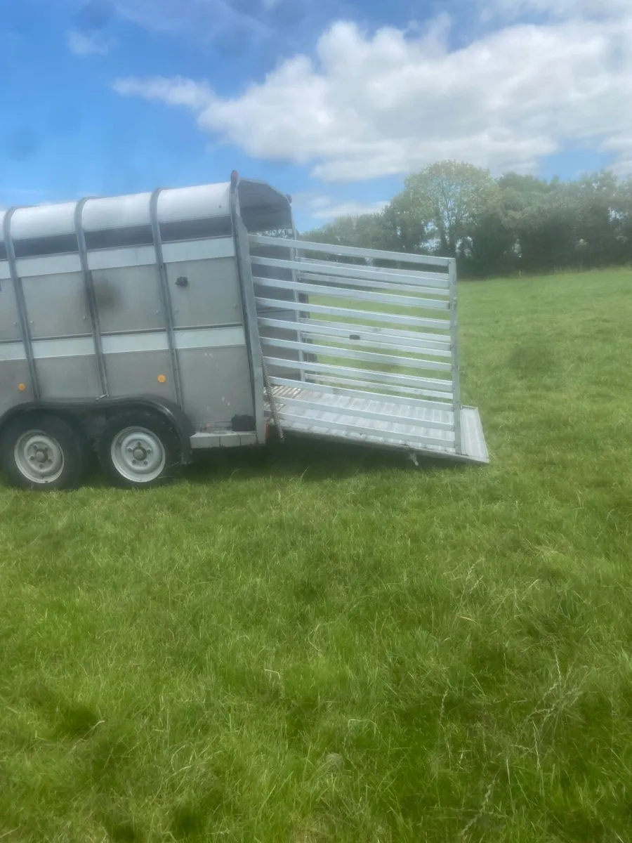 10ft cattle box - Image 4
