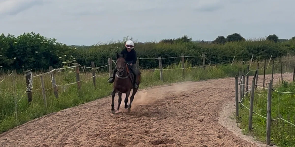 Racing Pony - Image 1