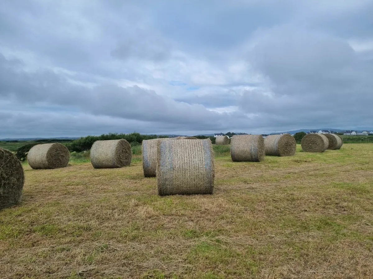 ROUND BALES OF  JUNE 2025 HAY - Image 1