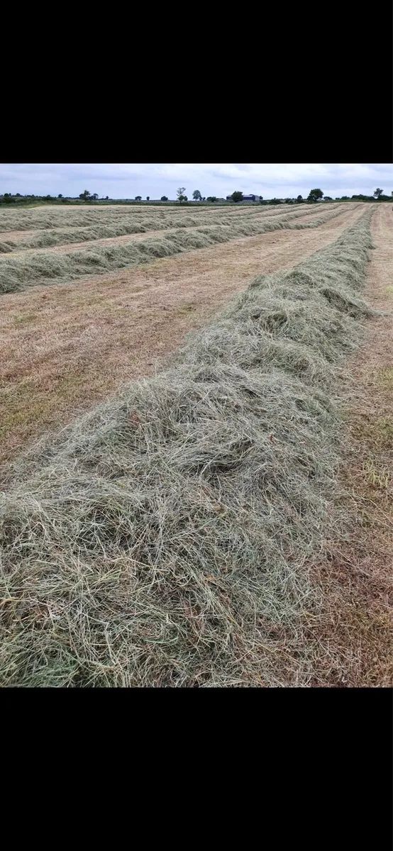 # Horse Haylage # - Image 2