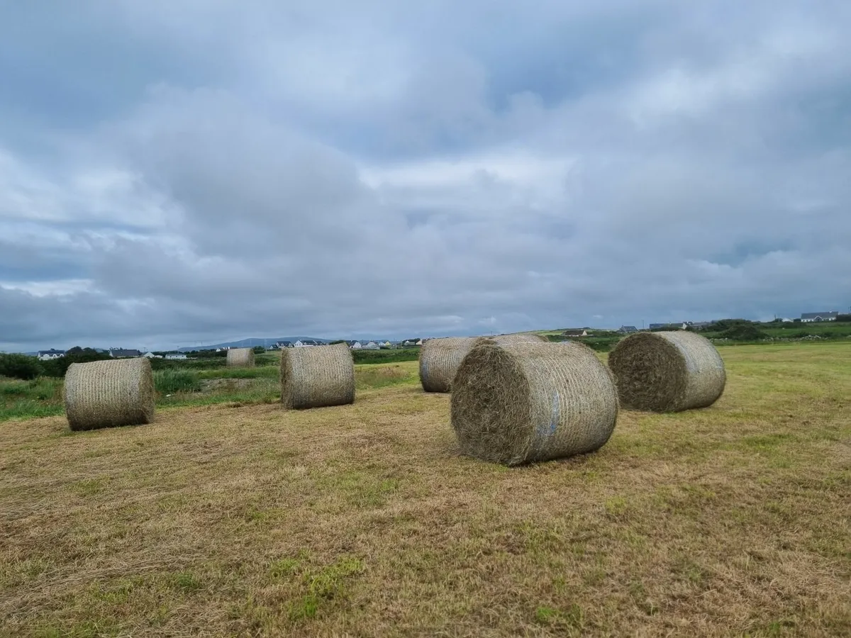 ROUND BALES OF  JUNE 2025 HAY - Image 2