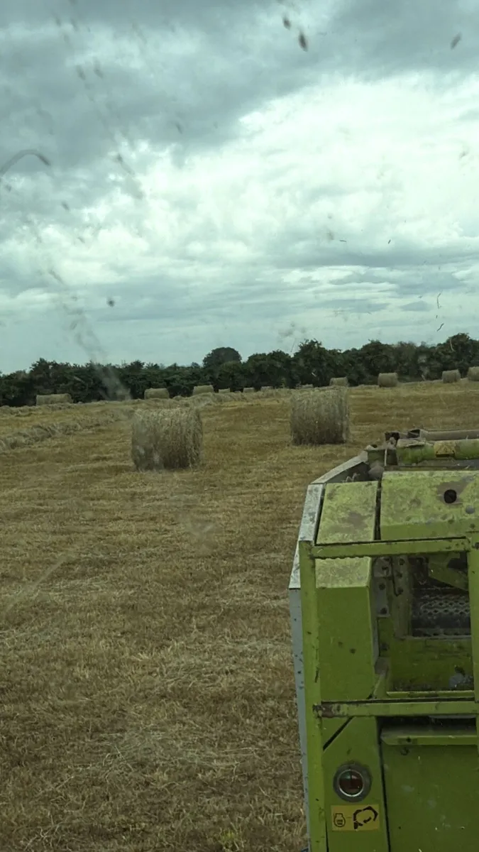 Hay for sale