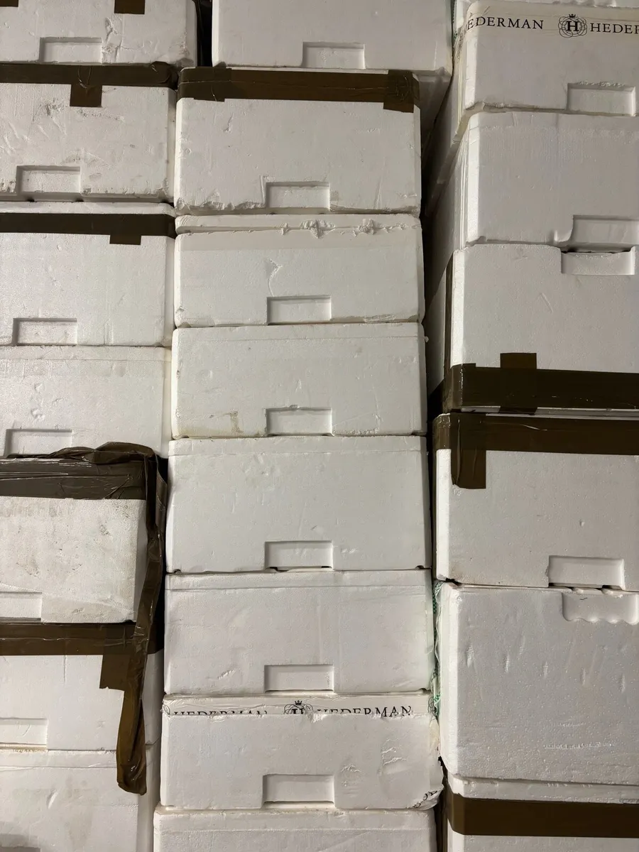 Styrofoam Box (80+ Boxes) - Image 1
