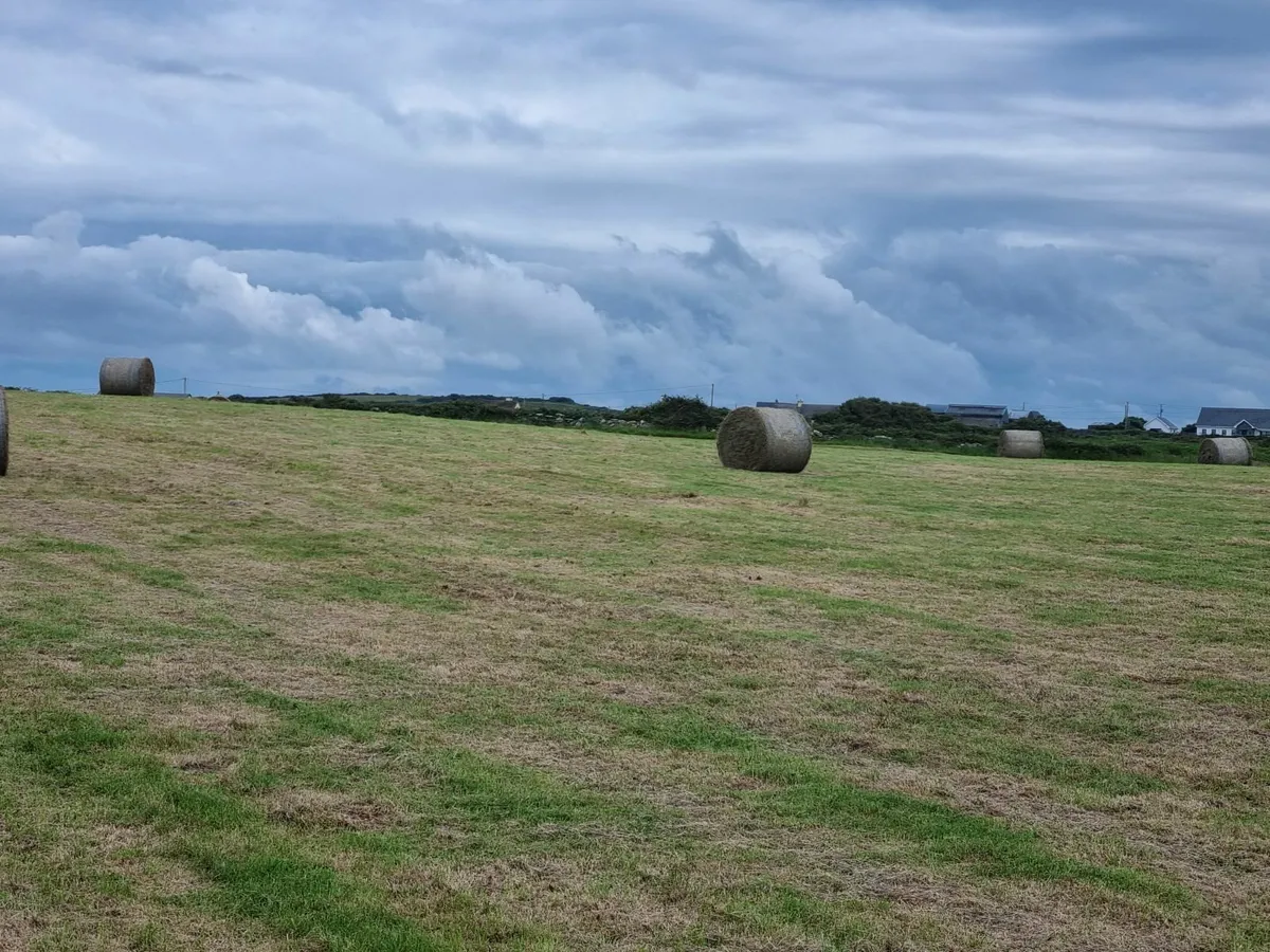 ROUND BALES OF  JUNE 2025 HAY - Image 3