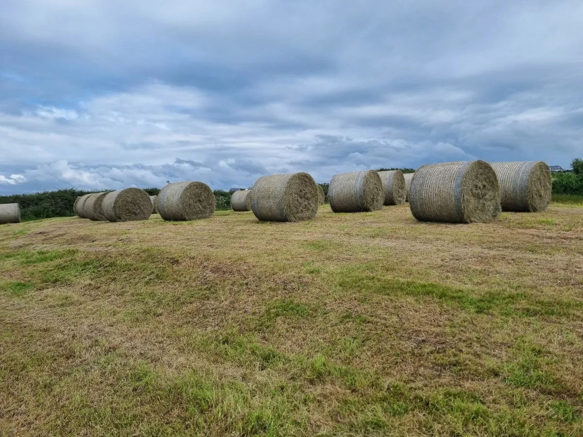 ROUND BALES OF  JUNE 2025 HAY - Image 4