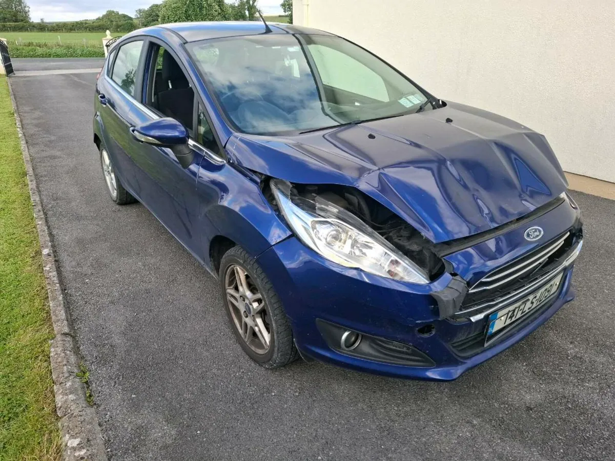 14 fiesta - Image 1
