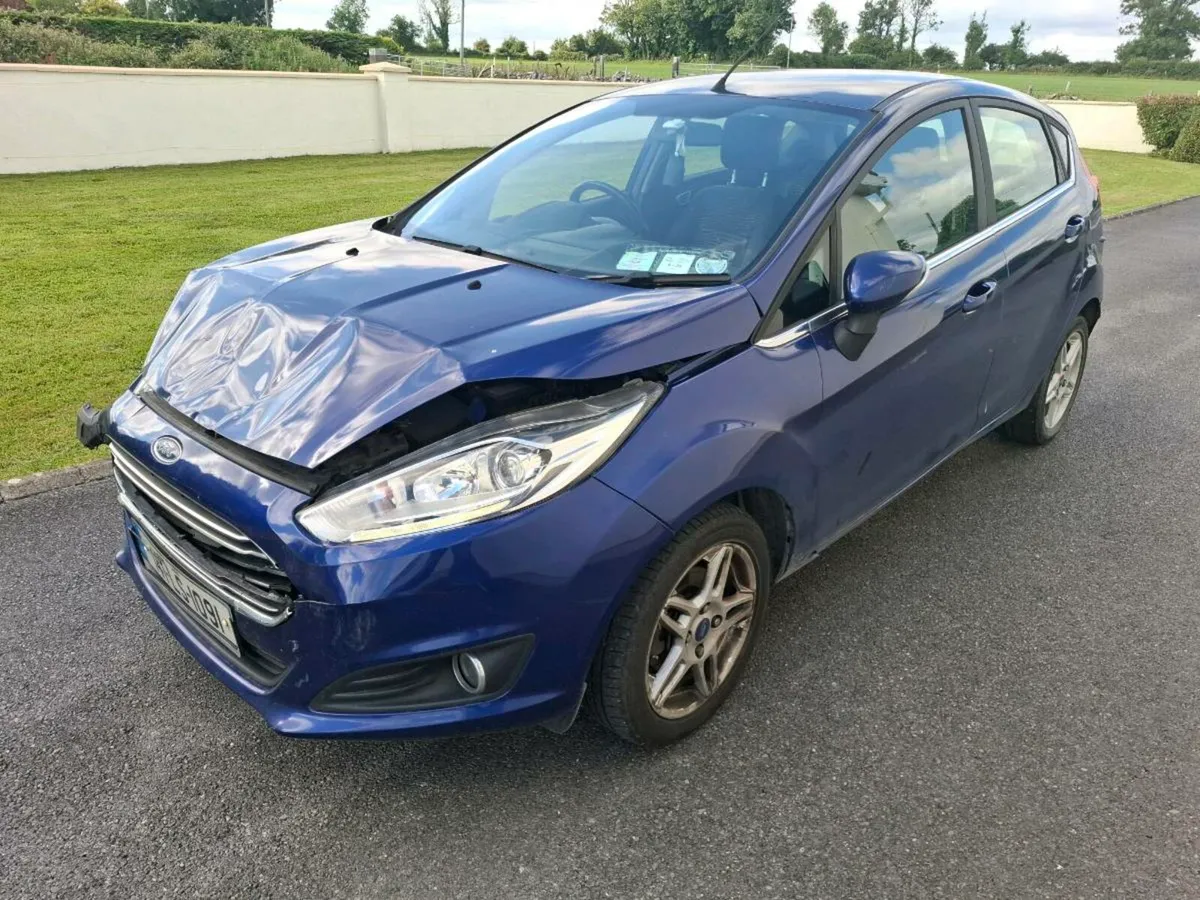 14 fiesta - Image 3
