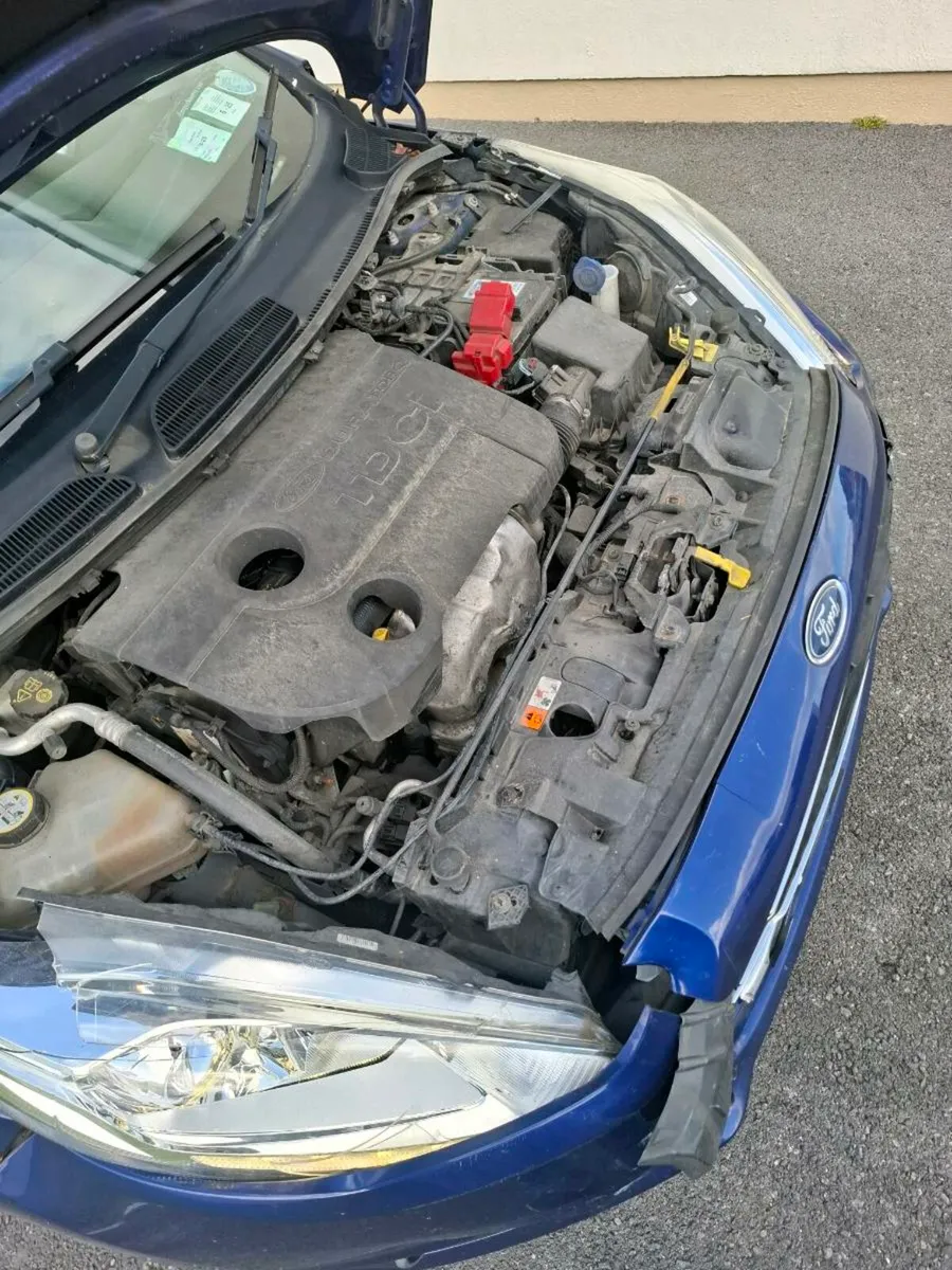 14 fiesta - Image 4