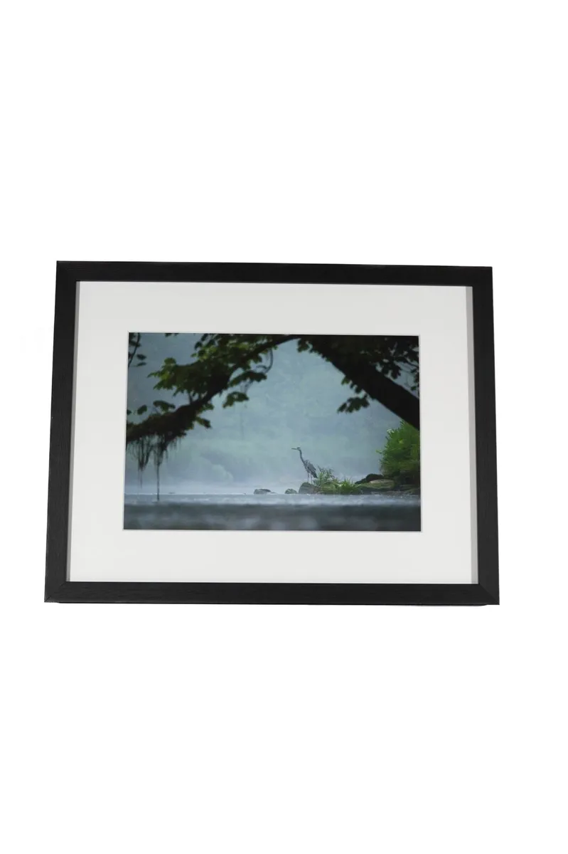 Wildlife Prints - Image 2