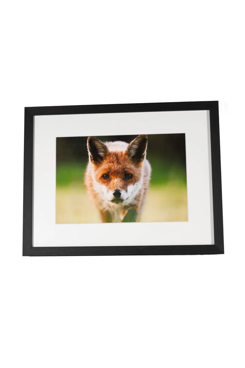 Wildlife Prints - Image 3