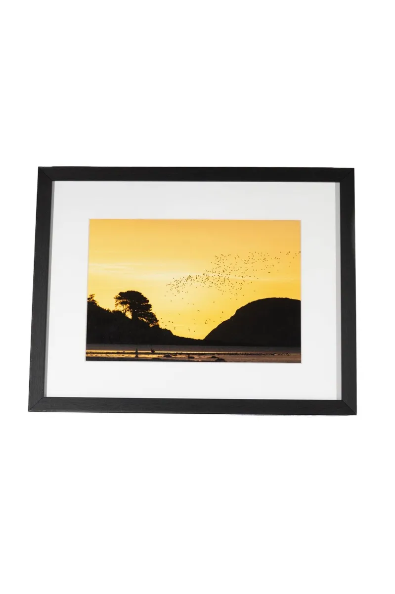 Wildlife Prints - Image 4