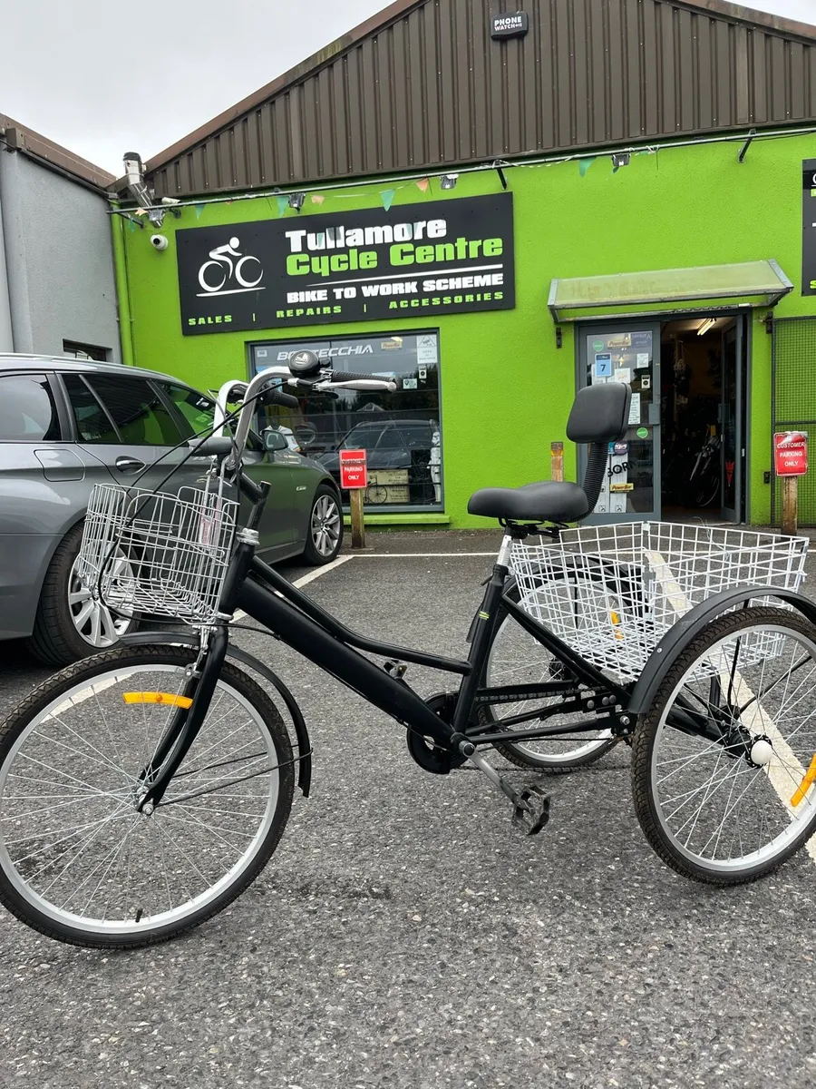 Adult Tricycle - Image 1