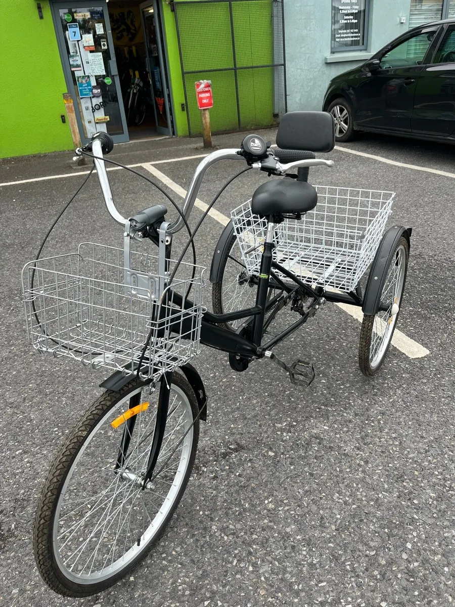 Adult Tricycle - Image 2
